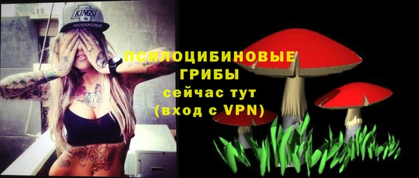 PSILOCYBIN Армянск