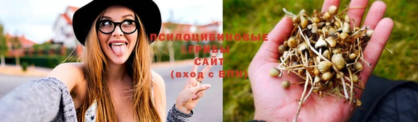 гашишное масло Арсеньев