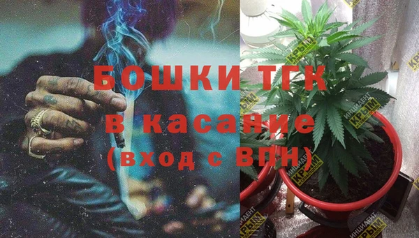 стафф Аркадак