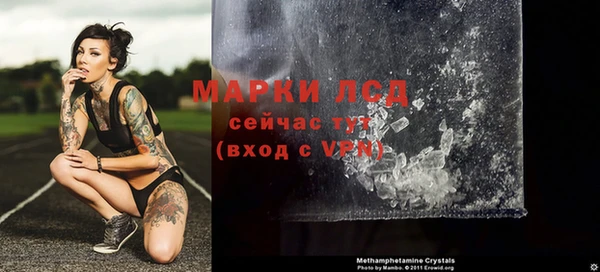 стафф Аркадак