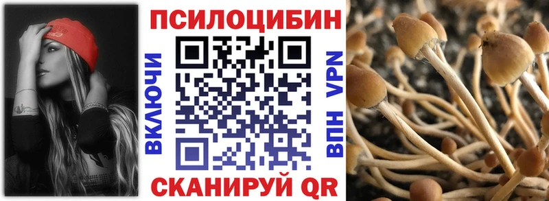 Псилоцибиновые грибы прущие грибы Армянск
